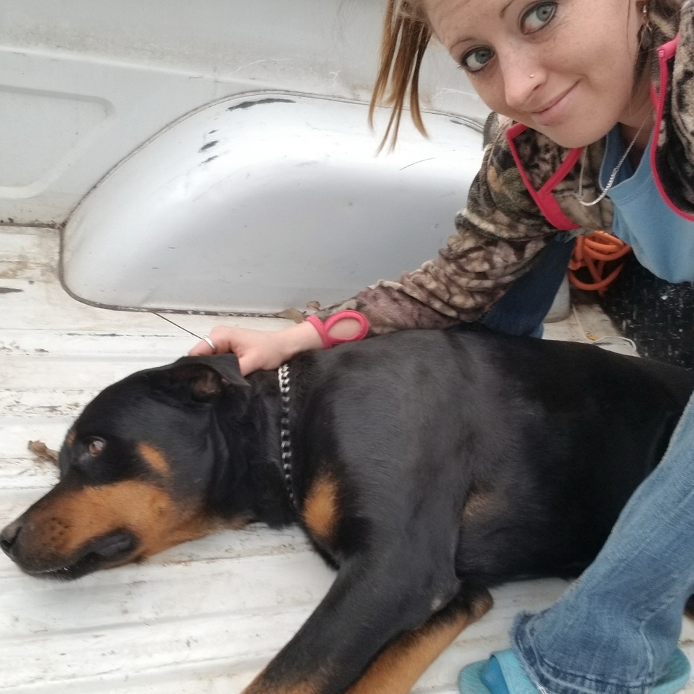 Meet your Posher, Savannah